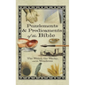 Puzzlements & Predicaments of the Bible
