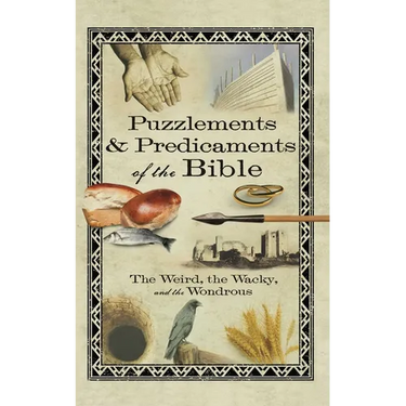 Puzzlements & Predicaments of the Bible