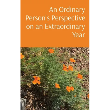 An Ordinary Person's Perspective on an Extraordinary Year