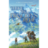 There Be Dragons Here: A Cozy Fantasy Adventure