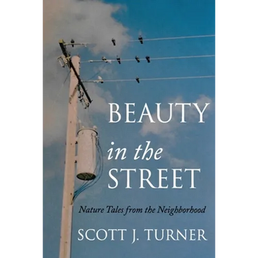 Beauty in the Street: Nature Tales from the Neighborhood