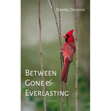 Between Gone and Everlasting