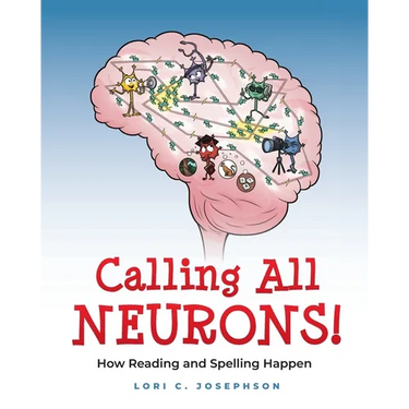 Calling All Neurons!: How Reading and Spelling Happen