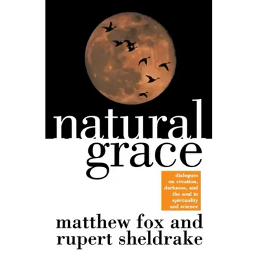 Natural Grace: Dialogues on Creation, Darkness, and the Soul in Spirituality and Science