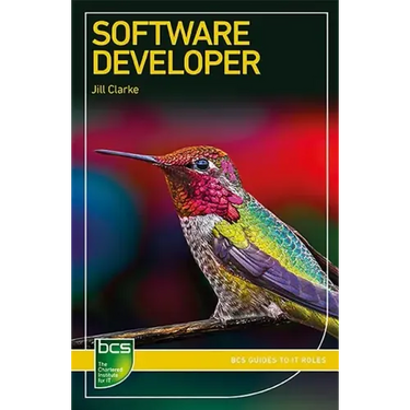 Software Developer