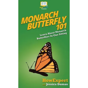 Monarch Butterfly 101: Learn About Monarch Butterflies In One Sitting