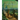 The Court of Hidden Faces: Large format edition