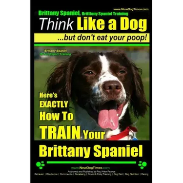 Brittany Spaniel, Brittany Spaniel Training Think Like a Dog But Don't Eat Your Poop! Brittany Spaniel Breed Expert Training: Here's EXACTLY How To TR