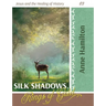 Silk Shadows, Rings of Gold: Jesus and the Healing of History 03
