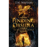 Finding Obsidia