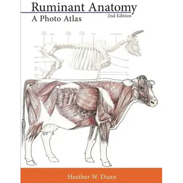 Ruminant Anatomy: A Photo Atlas