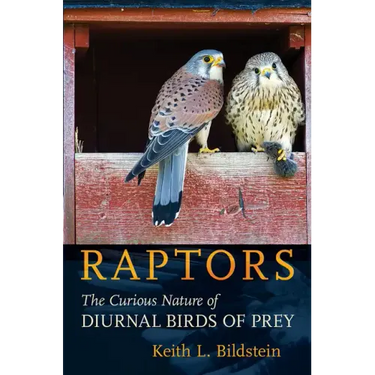 Raptors: The Curious Nature of Diurnal Birds of Prey