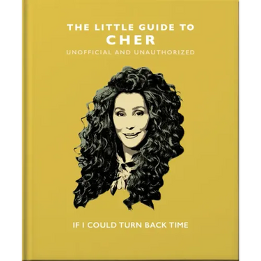 The Little Guide to Cher: If I Could Turn Back Time