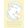 Surprised by Imperfection: Essays and Stories on Wonder