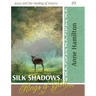 Silk Shadows, Rings of Gold: Jesus and the Healing of History 03