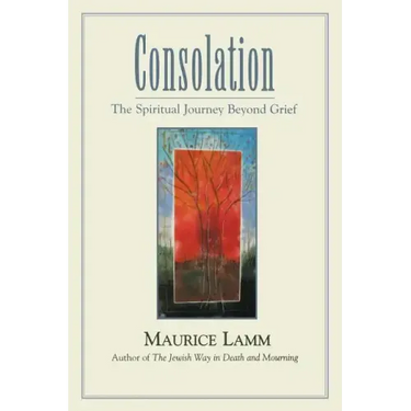 Consolation: The Spiritual Journey Beyond Grief