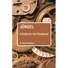 Jüngel: A Guide for the Perplexed