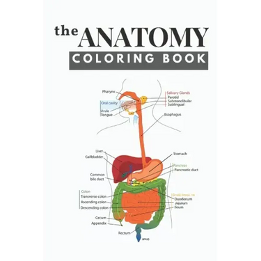 The anatomy coloring book: human anatomy