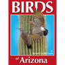 Birds of Arizona