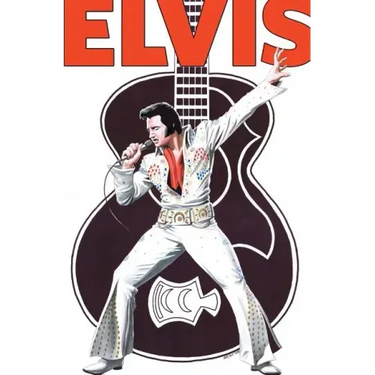 Rock and Roll Comics: Elvis Presley Experience: Special Hard Cover Edition