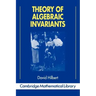 Theory of Algebraic Invariants