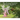 The Mystical World of Magical Neighbors