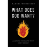 What Does God Want?: Aligning Your Life with God's Desire
