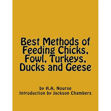 Best Methods of Feeding Chicks, Fowl, Turkeys, Ducks and Geese