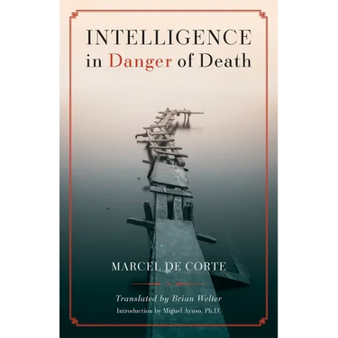 Intelligence in Danger of Death (English edition)