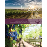 Abiding in the Vine / Unity - Workbook (& Small Group Leader Guide)