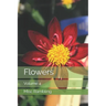 Flowers: Volume 4