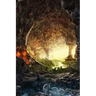 A Journey into the Center of the Earth