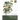 Community Ecology