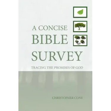 A Concise Bible Survey: Tracing the Promises of God