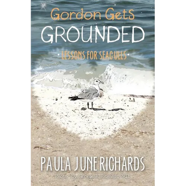 Gordon Gets Grounded: Lessons For Seagulls