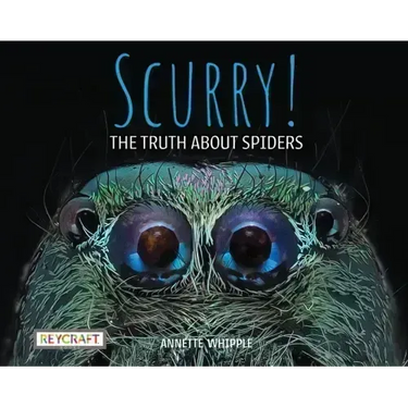 Scurry: The Truth about Spiders: The Truth about Spiders