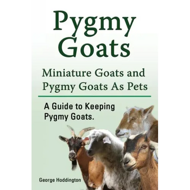 Pygmy Goats. Miniature Goats and Pygmy Goats As Pets. A Guide to Keeping Pygmy Goats.