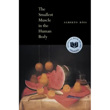 The Smallest Muscle in the Human Body
