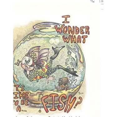 I Wonder What It's Like to Be a Fish