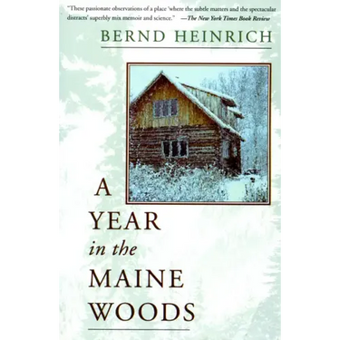 A Year in the Maine Woods