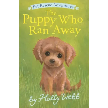 The Puppy Who Ran Away