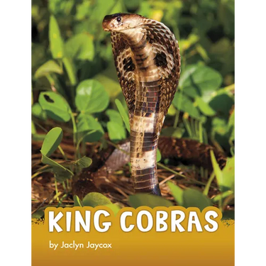 King Cobras