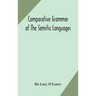 Comparative grammar of the Semitic languages