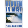 Hidden in Mist
