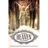 Visits from Heaven