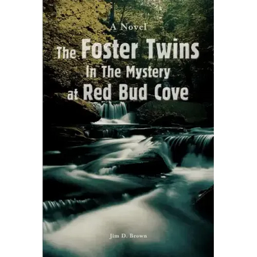 The Foster Twins In The Mystery at Red Bud Cove