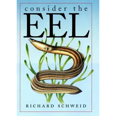 Consider the Eel