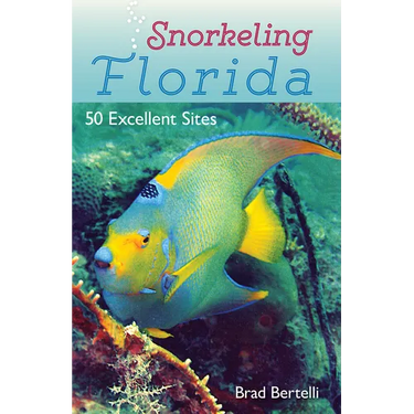 Snorkeling Florida: 50 Excellent Sites