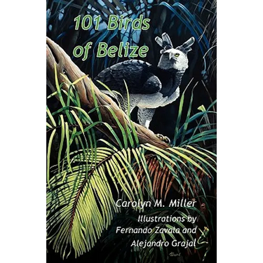 101 Birds of Belize