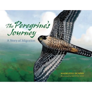 The Peregrine's Journey: A Story of Migration